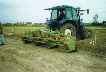 65.jpg